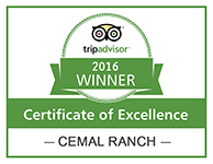 Certificate of Excellence Winner 2016 Cemal Ranch