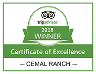 Certificate of Excellence Winner 2018 Cemal Ranch