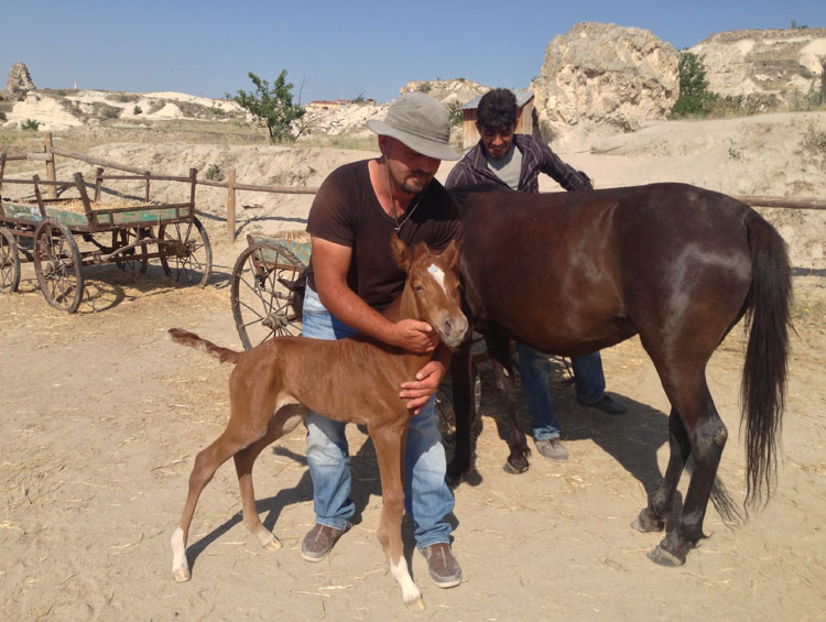Cemal Ranch | Cappadocia Horse Riding